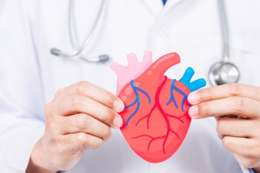ASD VSD Closure in India, Heart Closure Surgery in India, Best Cardiologist in Chandigarh, Dr Sandeep Parekh Cardiologist in Punjab, Cost of ASD VSD in India